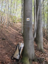 Ďalšia jaskyňa v okolí nášho mesta prístupná verejnosti