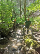 Environmentálny deň