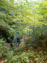 Októbrový výstup na Vodopád Bystré a Poľanu