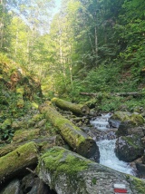 Ferrata Martinské hole