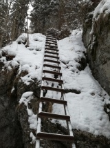 41. ročník Novoročný výstup na Volovec