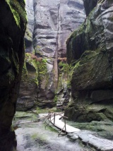 Broumovská vrchovina