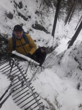 41. ročník Novoročný výstup na Volovec