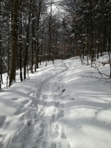 41. ročník Novoročný výstup na Volovec