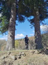 Krivoklát - Kozie rohy