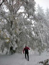 Zasnežené Babie leto