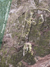 Kras a jaskyne v Manínoch i okolí