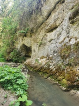 Autobusový zájazd na Pieniny