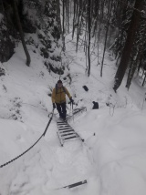 41. ročník Novoročný výstup na Volovec