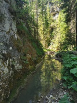 Autobusový zájazd na Pieniny