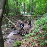 Environmentálny deň