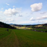 Jilemnického jarná 25-ka