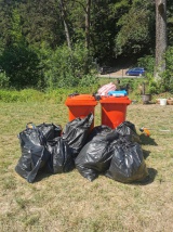 Environmentálny deň