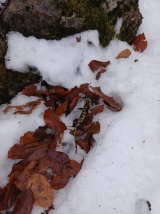 Zimný výstup na Vápeč